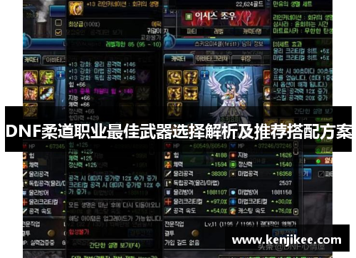 DNF柔道职业最佳武器选择解析及推荐搭配方案