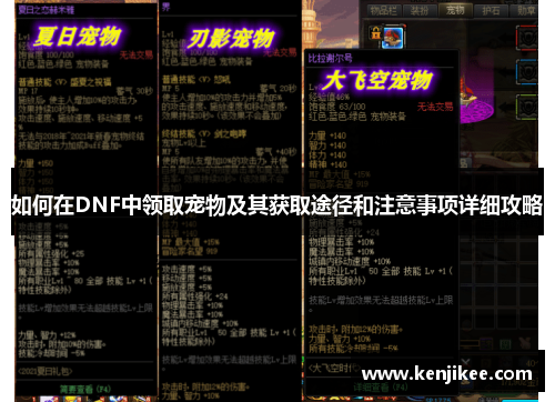 如何在DNF中领取宠物及其获取途径和注意事项详细攻略
